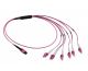 MTP/MPO array cable, 12 fibres x LC/UPC (6 x 12 LC duplex) multimode OM4, violet